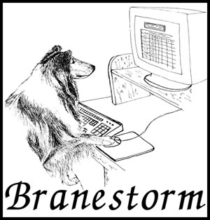 Branestorm logo